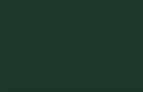 ABS Edging Tape Fir Green ST9 2 x 23mm