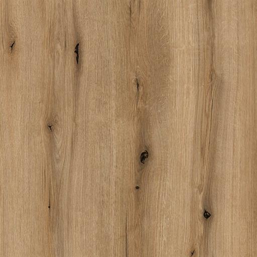 Coast Evoke Oak