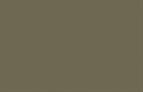 ABS Edging Tape Agave Green  0.8 x 23mm