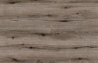 ABS Edging Tape Fossil Evoke Oak 0.8 x 23mm