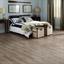 Palio By Karndean - Palio Core - Arezzo Plank image 2