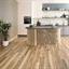 Palio By Karndean - Palio Core - Gallina Plank image 2