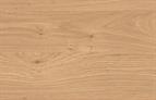 Light Winchester Oak (Montana) preglued edging tape 22mm 50m roll