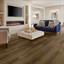 Palio By Karndean - Palio Rigid - Lambro Character Oak Plank image 2