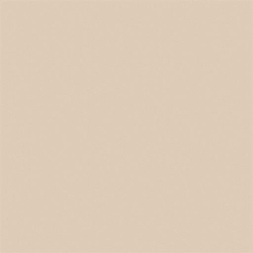 High Gloss Sand Beige